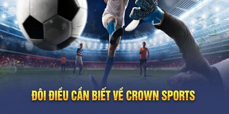 Tổng quan chung về nhà cung cấp Crown Sports 