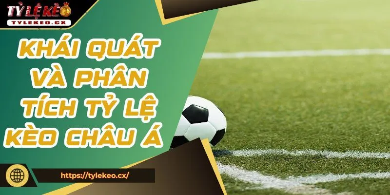 Khái quát và phân tích tỷ lệ kèo châu Á chi tiết nhất