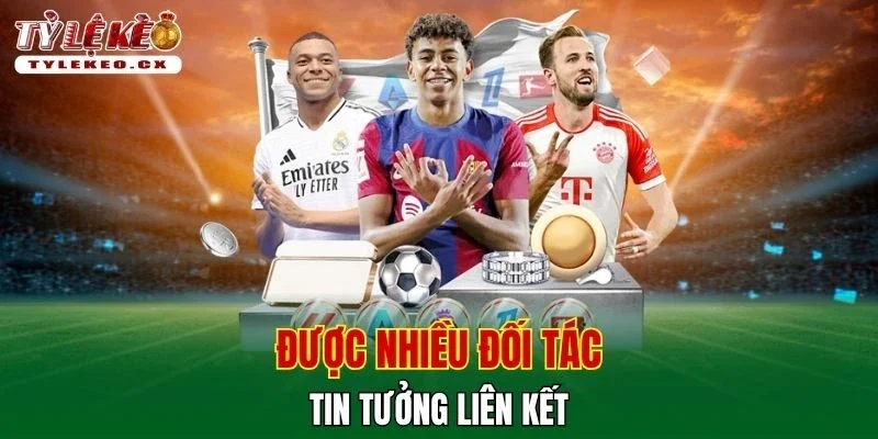Được nhiều đối tác tin tưởng liên kết