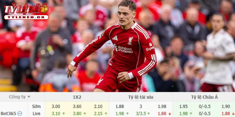 Chi tiết kèo Bournemouth vs Liverpool