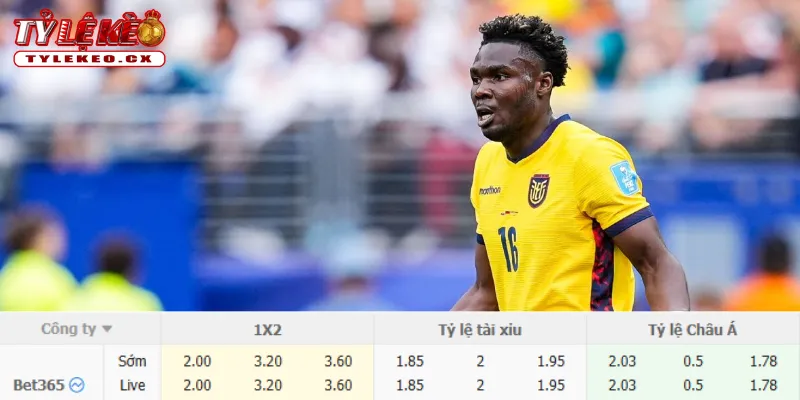 Chi tiết kèo Nhật Bản vs Ecuador