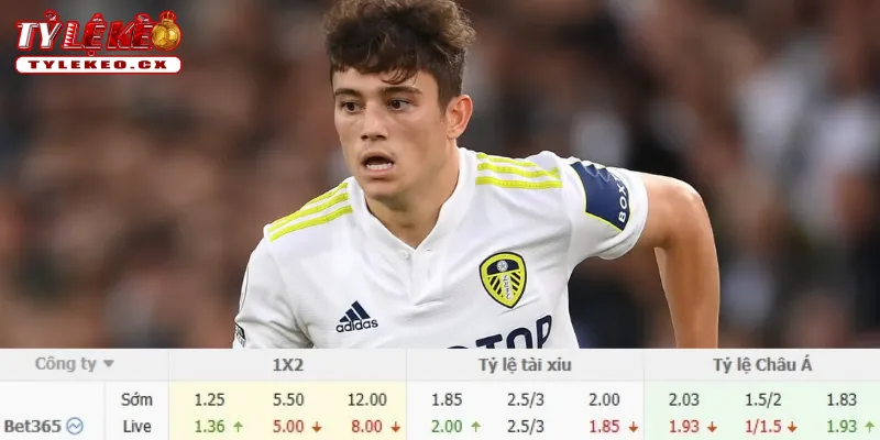Soi Kèo Arsenal vs Leeds United (18h30 ngày 10/10) Premier League 3 Chi tiết kèo Arsenal vs Leeds United