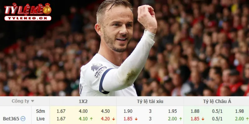 Soi Kèo Chelsea vs Tottenham (23h30 ngày 24/10) Premier League 3 Chi tiết kèo Chelsea vs Tottenham