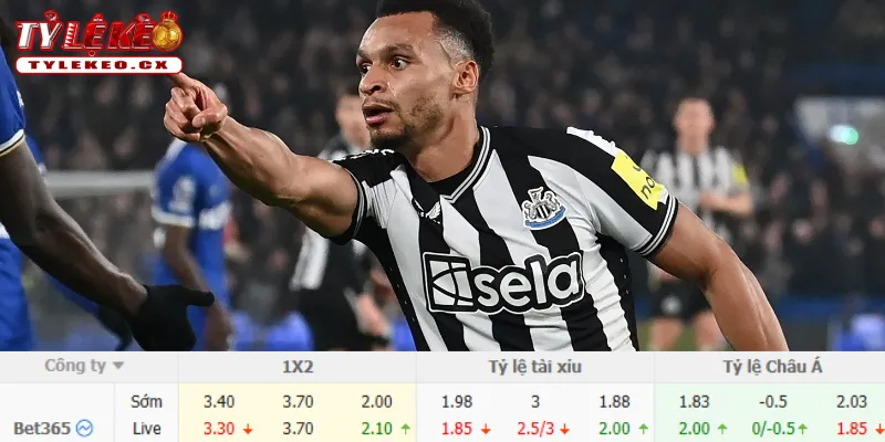 Soi Kèo Coventry City vs Newcastle (02h00 ngày 13/10) Premier League 3 Chi tiết kèo Coventry City vs Newcastle