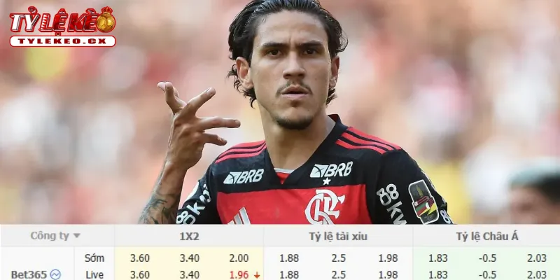 Chi tiết kèo Vasco da Gama vs Flamengo