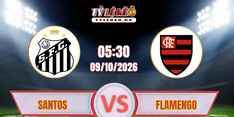 Santos vs Flamengo